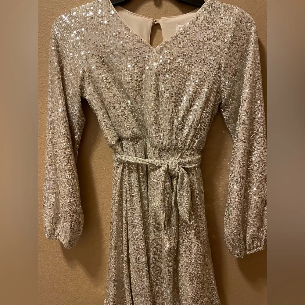 Gold/Silver Sequin Dress - Picture 1 of 2